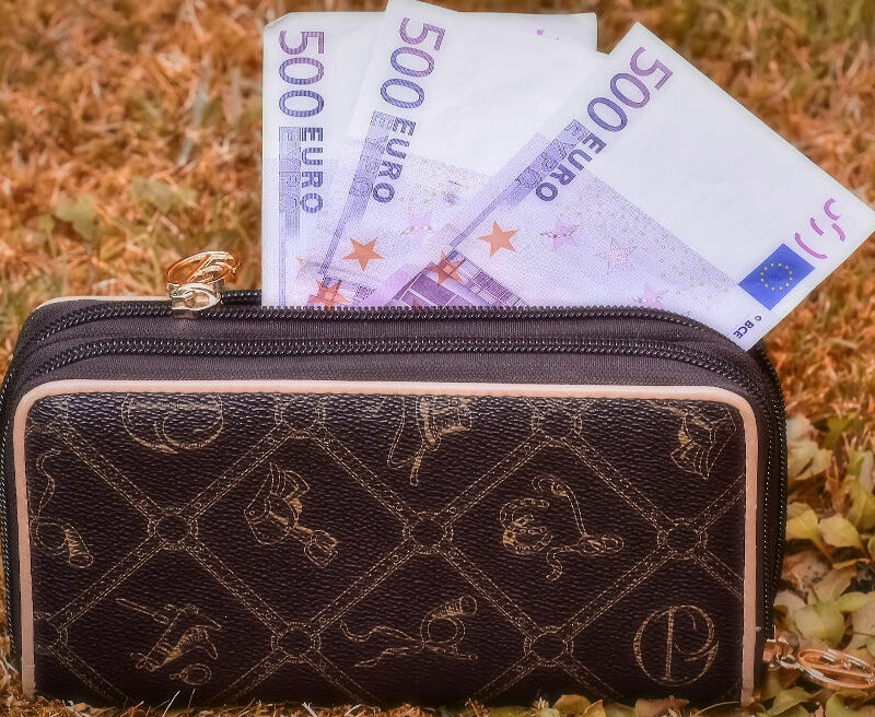 Money in purse