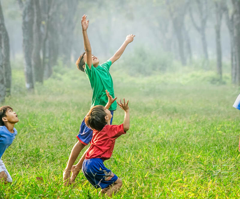 Children playing in forest